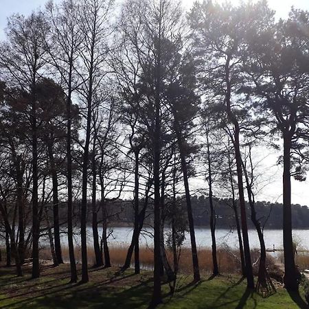 Haus Wilma Gruene Idylle Im Wald Direkt Am See Wendisch Rietz Eksteriør bilde