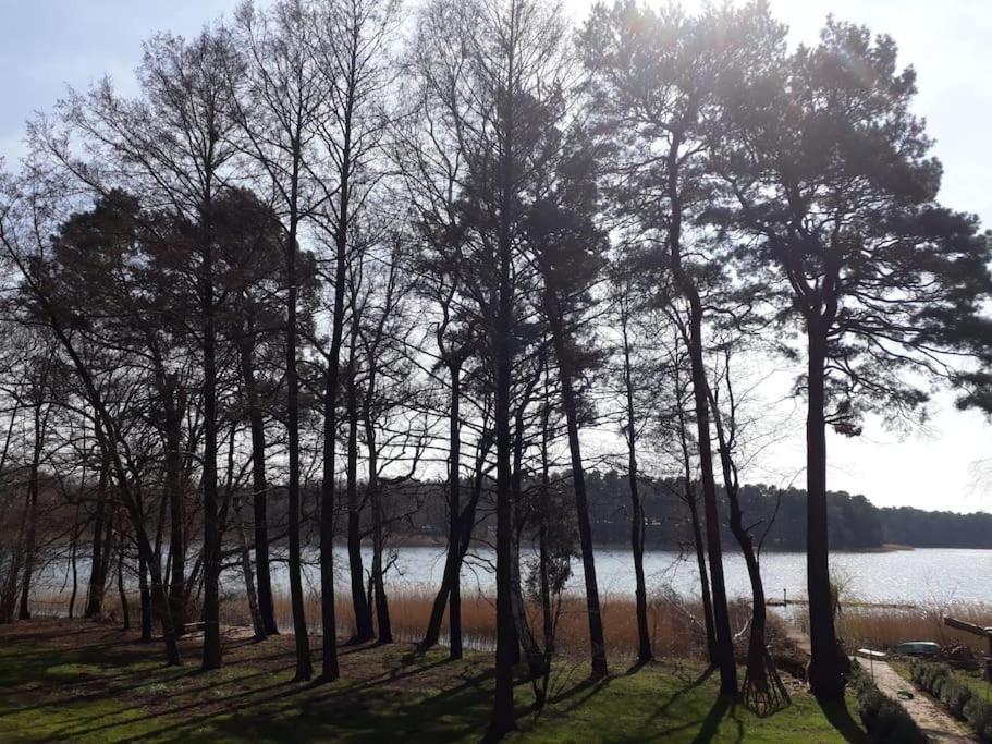 Haus Wilma Gruene Idylle Im Wald Direkt Am See Wendisch Rietz Eksteriør bilde