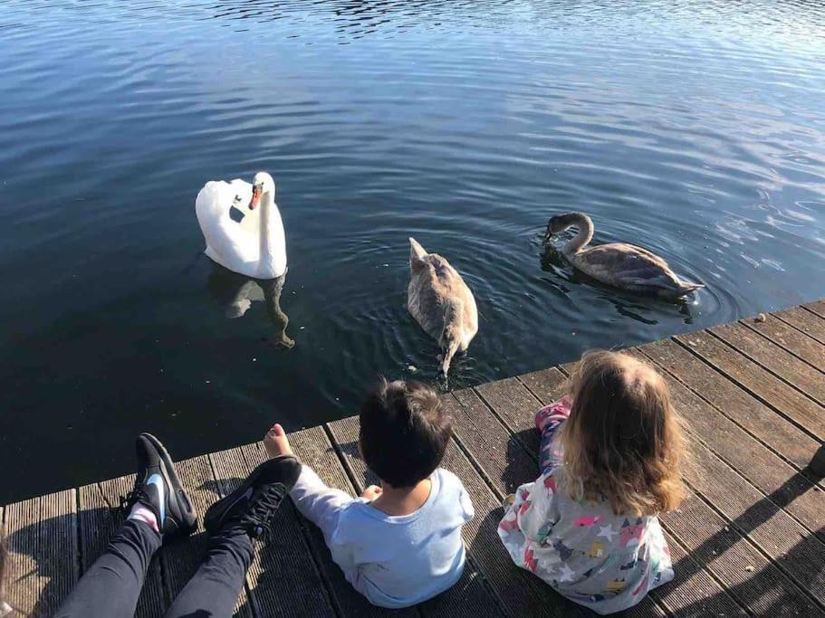 Haus Wilma Gruene Idylle Im Wald Direkt Am See Wendisch Rietz Eksteriør bilde
