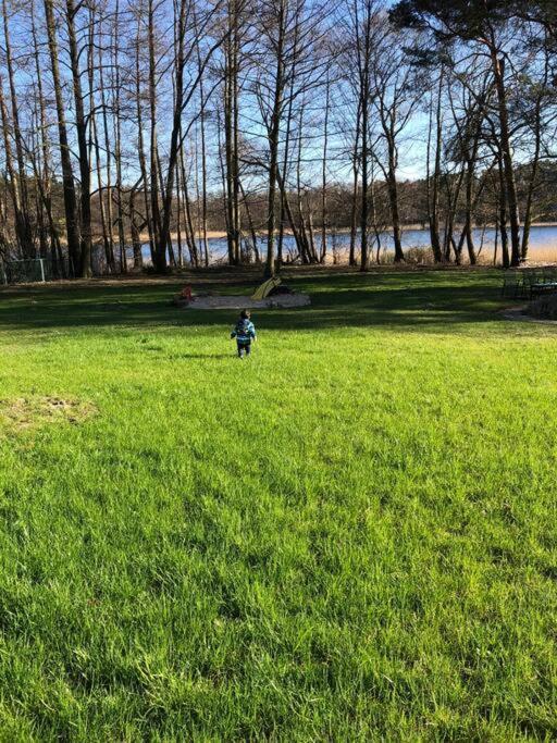 Haus Wilma Gruene Idylle Im Wald Direkt Am See Wendisch Rietz Eksteriør bilde