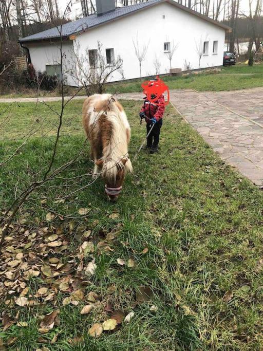 Haus Wilma Gruene Idylle Im Wald Direkt Am See Wendisch Rietz Eksteriør bilde