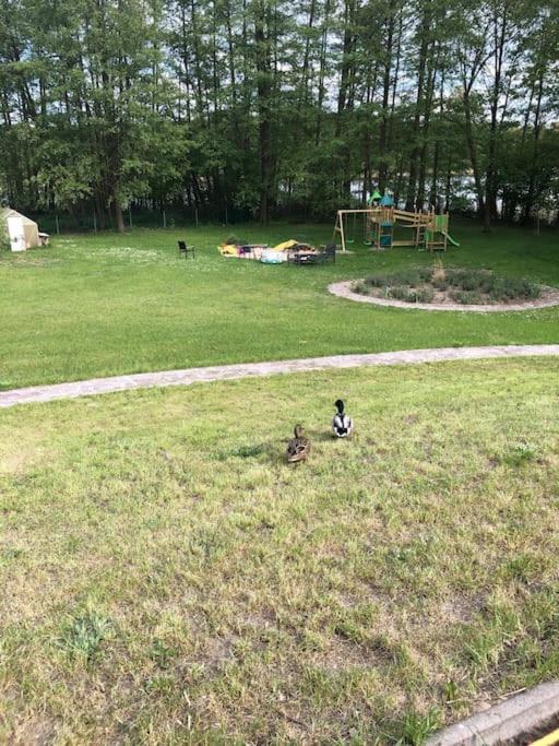 Haus Wilma Gruene Idylle Im Wald Direkt Am See Wendisch Rietz Eksteriør bilde