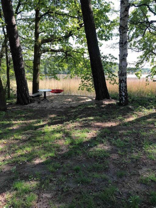 Haus Wilma Gruene Idylle Im Wald Direkt Am See Wendisch Rietz Eksteriør bilde